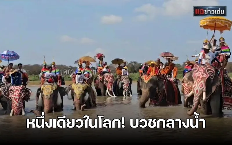 ทัพช้างกว่า 70 เชือก…ร่วมขบวนแห่นาคชาวกวยอาเจียง